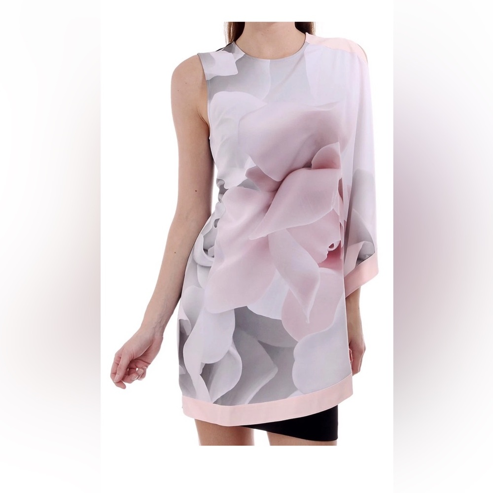 Ted Baker London Ecur Lizeey Porcelain Rose Tunic Dress Size 4